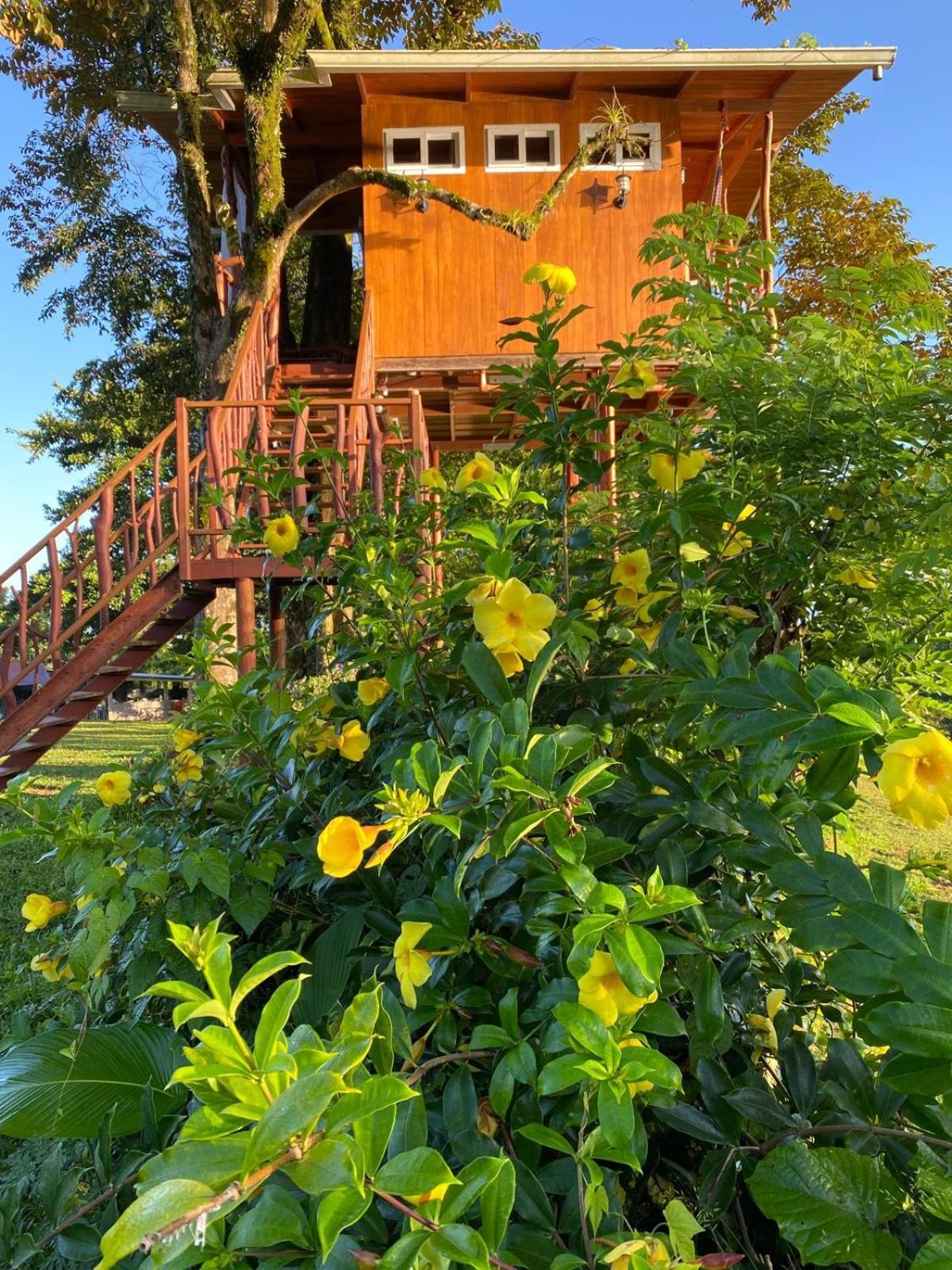 Hilamito Lodge Tela Exterior foto